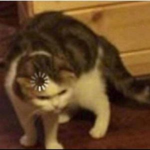 Meet your Posher, Marcus